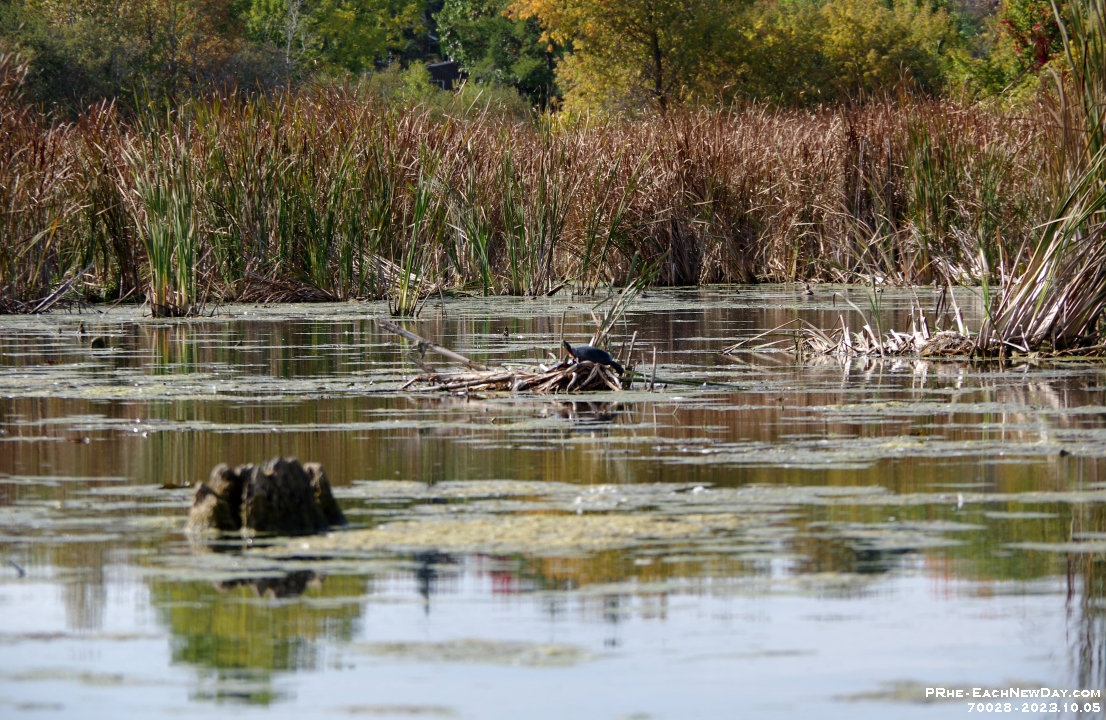 70028CrLeUsmRe - A lovely Sunday afternoon with Beth kayaking Lake Scugog from Port Perry